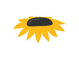 Hand drawn cute summer cartoon illustration of sunflower. Flat farm floral sticker in simple colored doodle style. Helianthus icon or print. Isolated on white background. vector