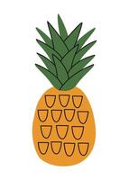 Hand drawn cute summer illustration of pineapple or ananas. Flat fresh fruit in simple colored doodle style. Tropical exotic raw food icon or print. Isolated on white background. vector