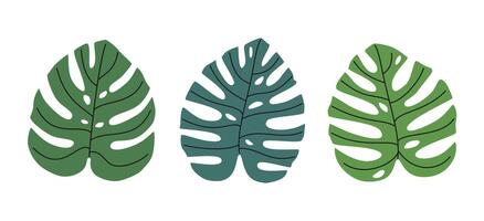 mano dibujado linda verano ilustración de monstera hojas colocar. plano botánico planta elementos en sencillo de colores garabatear estilo. tropical exótico floral icono o impresión. aislado en blanco antecedentes. vector