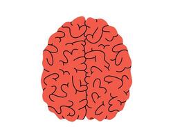 Hand drawn cute illustration human brain view from above. Flat internal organ, intellect symbol in doodle style. Mental health, illness, medicine sticker, icon. Isolated on white background. vector