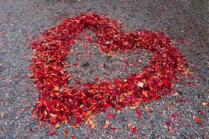 A heart shaped surrounded red leaves on the ground in autumn photo