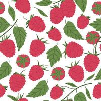 Raspberry seamless pattern. Juicy raspberries endless design, fresh edible raspberries for healthy nutrition flat background illustration. Hand drawn forest berries pattern vector