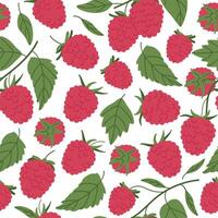 Raspberry seamless pattern. Juicy raspberries endless design, fresh edible raspberries for healthy nutrition flat background illustration. Hand drawn forest berries pattern vector