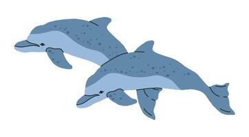 salvaje delfines mar mamífero animales, linda delfines nadar en océano, mano dibujado acuático fauna plano ilustración. submarino delfines en blanco vector