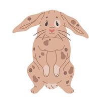 Hand drawn bunny. Cute Easter rabbit, fluffy bunny character, little Easter hare flat illustration. Spring Easter holiday rabbit on white vector