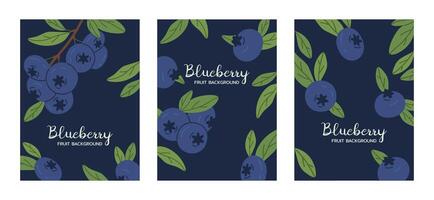 Hand drawn blueberries posters. Blueberry with leaves, delicious blueberries flat background illustration set. Juicy blueberry backdrops vector