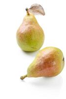 Pears collection. Pears Isolated organic isolated on white background. Pears macro 2 photo