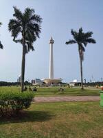 a white monument in the center of a park. The monument is tall and slender, with a pointed tip. There are several palm trees in front of the monument, with their fronds spread out. photo