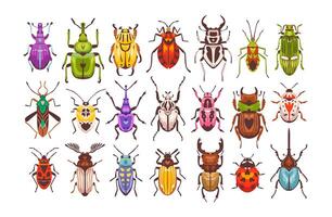 escarabajos y insectos. vistoso insectos de varios formas escarabajo conjunto plano ilustración vector
