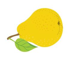 Ripe juicy pear cartoon style. fresh pear with leaves. Modern flat illustration juicy pear, fruits, healthy eating. Isolated on white background. illustration vector