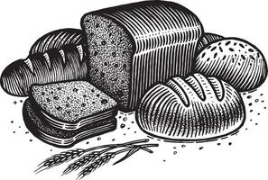 pan, ilustración. Clásico gráficos y trabajo manual. dibujo con un tinta bolígrafo y lápiz. el centeno pan, rebanado, pan, espiguillas y granos, redondo pan, rociado con harina y salvado vector