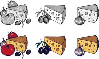 Cheese with garlic, olives and tomatoes, illustration. Vintage graphics and handwork. A collection of fruits and berries. vector