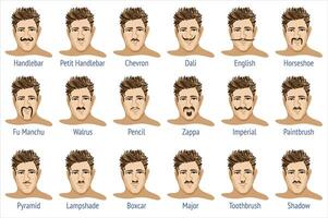 Mustache types. isolated set. With definitions vector