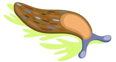 Slug on leaf. isolated illustration vector