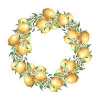 Wreath of yellow lemon fruits with green leaves and branches. Isolated watercolor illustration in realistic style. Handmade composition for design of cards, wedding design, invitations, textiles. vector