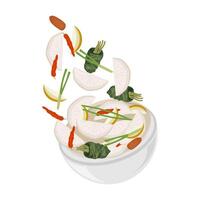 Illustration Logo Levitation Dongchimi Korean Radish Water Kimchi vector