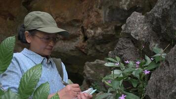 Middle aged female botanist is taking note on specimens and characteristics of plants and flowers that growing on the rock in the mountain. Learning process of photosynthesis in nature. video