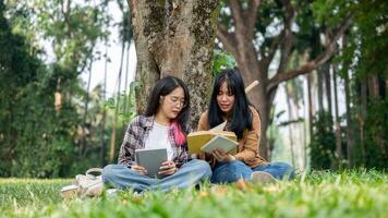 Two happy young Asian female college students are sitting under the tree, and studying together. photo