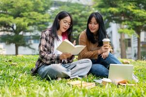 Two female college students are sitting on the grass in a campus park, discussing work outdoors. photo