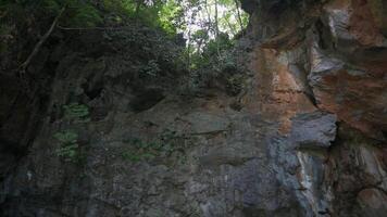 magnifico scena di ripido roccioso scogliera sopra il grotta quello coperto di lussureggiante fogliame impianti duranteg estate. si sposta inoltrare e inclinazione su sparo. uhm. 4k. video