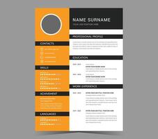 CV template or modern resume and design. vector