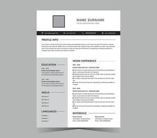 CV modelo o moderno currículum y diseño. vector