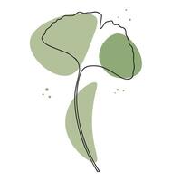 hoja aislado en blanco antecedentes. ilustración de un verde hoja. flores conjunto ilustración. neutral flores, minimalismo vector