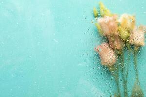 View through glass with waterdrops to blurred spring trendy peach color Eustoma flowers on turquoise photo