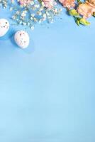 White spotted decorative eggs, gentle flowers on blue. Top view. Vertical Easter card. Copy space. photo