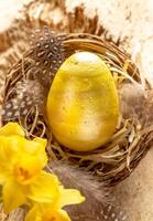 Easter card. Nest with decorative golden egg, straw, feathers, yellow narcissuses on light old wood. photo