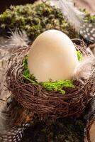 Organic Easter image. One natural color beige egg in nest on background of moss and feathers. photo