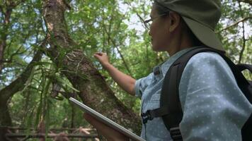 vrouw bioloog werken Aan digitaal tablet in mangrove Woud. controle orchidee en planten groeit Aan de bomen. concept van milieu en ecosysteem. aan het leren natuur en werkwijze van fotosynthese. video