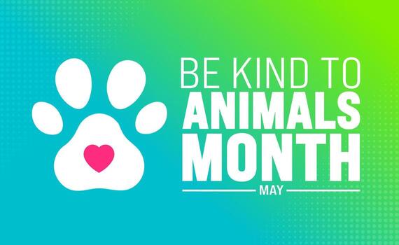 mayo es ser tipo a animales mes antecedentes modelo. fiesta concepto. utilizar a fondo, bandera, cartel, tarjeta, y póster diseño modelo con texto inscripción y estándar color. ilustración vector