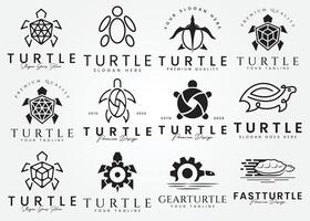 conjunto haz Tortuga logo con un minimalista concepto vector