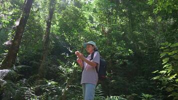 assolo donna escursionista ricerca per indicazioni su mobile smartphone attraverso GPS e Internet connessione mentre in piedi nel denso foresta pluviale durante estate. senza fili tecnologia integrazione concetto. video