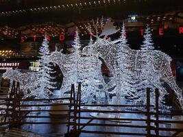 Stockholm, Sweden, Europe - december 15, 2017 Illuminated moose photo