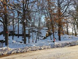 winter on the outskirts of Stockholm photo