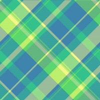 Tartan textile check of texture seamless background with a plaid fabric pattern. vector