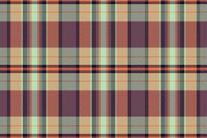 Panjabi check tartan fabric, checked pattern plaid. Festive texture seamless textile background in light and pink colors. vector