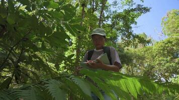 femelle biologiste ou scientifique travail dans forêt. vérification des arbres et les plantes. concept de environnement et écosystème. apprentissage la nature et biologique processus de photosynthèse. euh. 4k. video