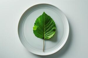 Green large leaf on a white background and a white plate. Top view photo