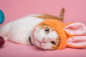 Easter Bunny. Orange and white cat with bunny ears and easter eggs on pink background. Funny Easter background. photo