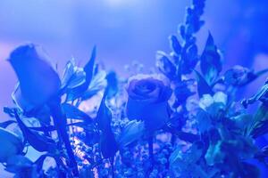 Floral arrangements back lit by party lights. Blurred background, celebration concept. photo