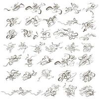 Set of Abstract Doodle Lines vector