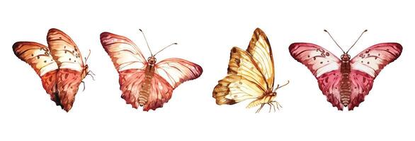 Set of Butterfly watercolor elements design vector