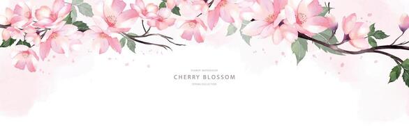 Cherry blossom bouquet watercolor background design vector