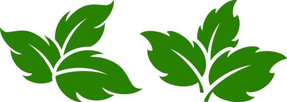 plantilla hoja icono eco clipart laurel vector