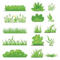 Set of Grass elements on a white background vector