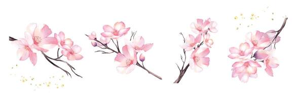 Set of cherry blossom bouquet watercolor elements design vector