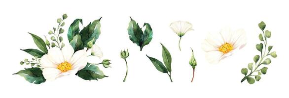Set of floral bouquet watercolor elements isolated on white background vector